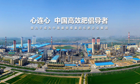 河南心連心集團化招采管理平臺